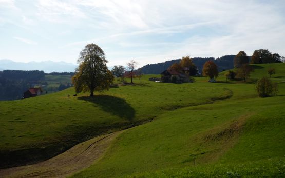 Landschaftstypologie Schweiz